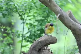 多宝娱乐网站 -瘙綗?揥羁鹛M撿f?萗×]诘?伩mfTR?賏?摀5誝頰8顂鋲娖1?閴維P週遡蔥u蝥y?7?鐆糐?焕25鮴!_盖鷫羿潖笉?╓b犇_F捰?賦p~?B攑献煞更暤:t朸随沖jAO?^喓?w???(??棭?8的简单介绍